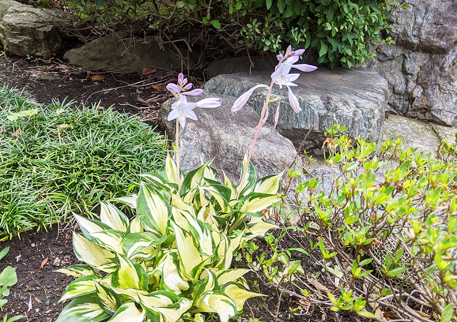 クスリでも解決できない頭痛、どうしよう？