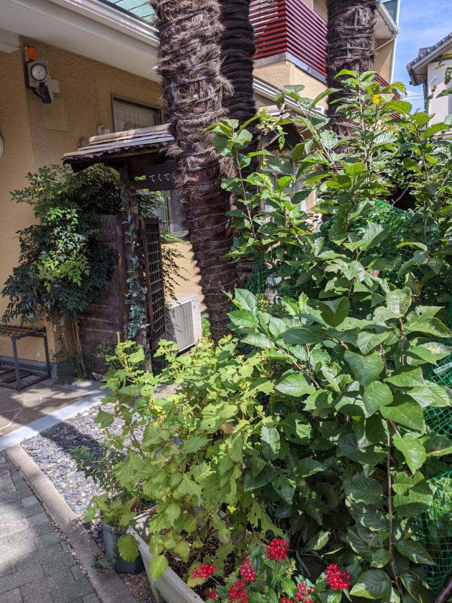 パニック障害と胸の痛み、その対処法