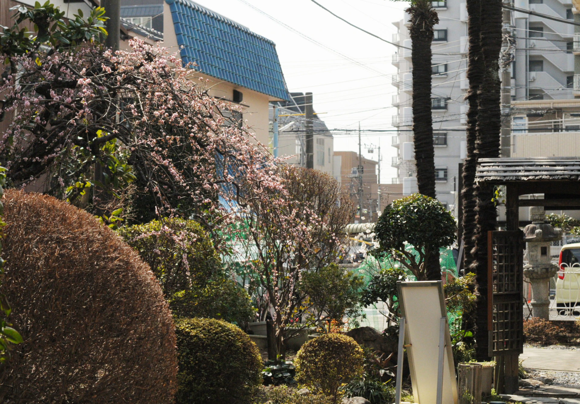 自律神経の不調の方々の最近の回復状況（睡眠障害、パニック、のぼせ）〜大和市整体院から