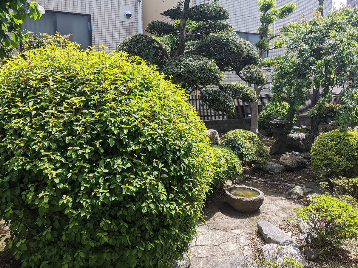 突発性の動悸の改善(大和市整体院ブログ)