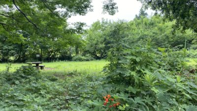 大和市の公園で運動を！